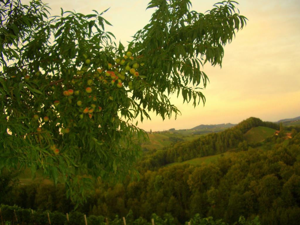 Weingut- Gaestezimmer Marko ลอยช์ชาค ภายนอก รูปภาพ