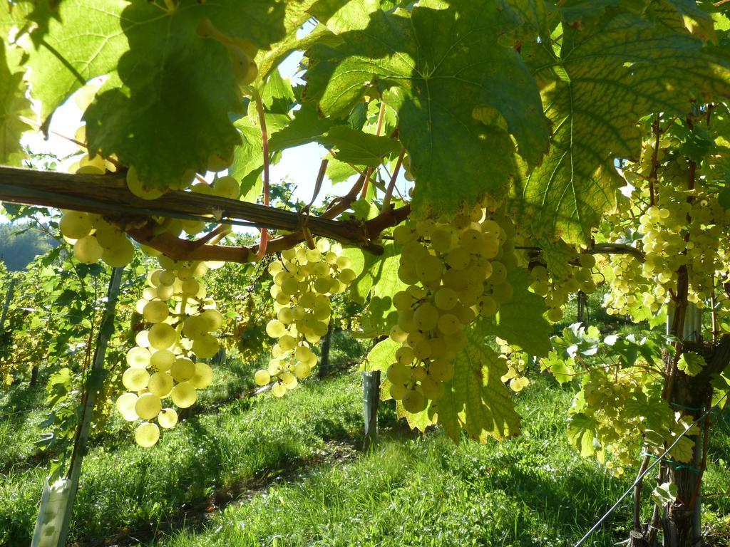 Weingut- Gaestezimmer Marko ลอยช์ชาค ภายนอก รูปภาพ