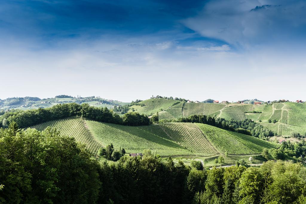 Weingut- Gaestezimmer Marko ลอยช์ชาค ภายนอก รูปภาพ