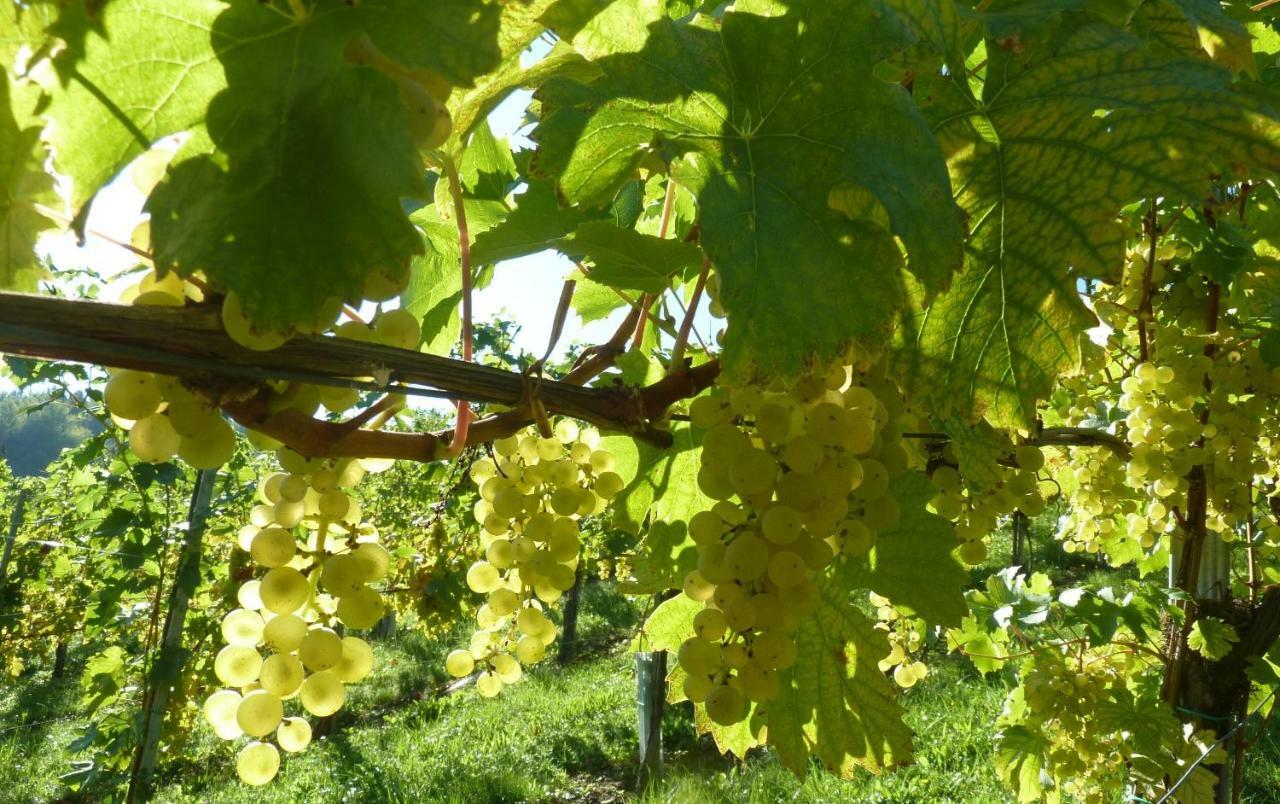 Weingut- Gaestezimmer Marko ลอยช์ชาค ภายนอก รูปภาพ