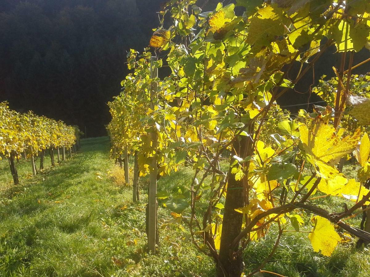 Weingut- Gaestezimmer Marko ลอยช์ชาค ภายนอก รูปภาพ